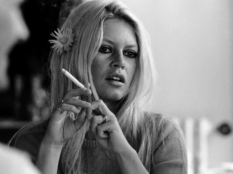 Brigitte Bardot Numerology Chart