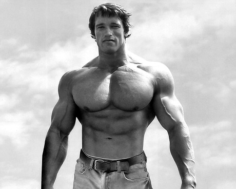 Arnold Schwarzenegger Life Path Number 4